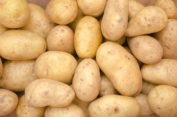 Potato Background - 71402224