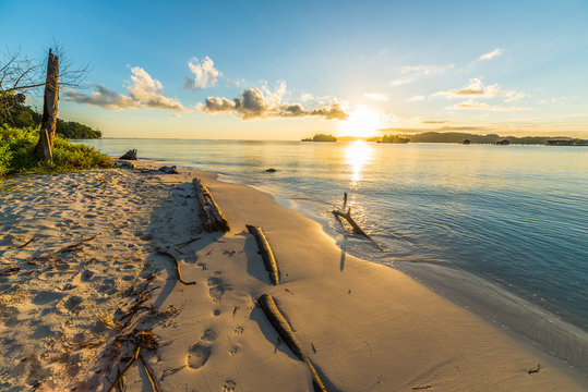 Golden sunrise