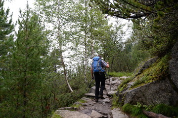 Wanderweg am Grawa-Wasserfall