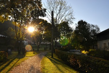Die Sonne scheint zwischen B&auml;umen hindurch auf einen idyllischen Gehweg