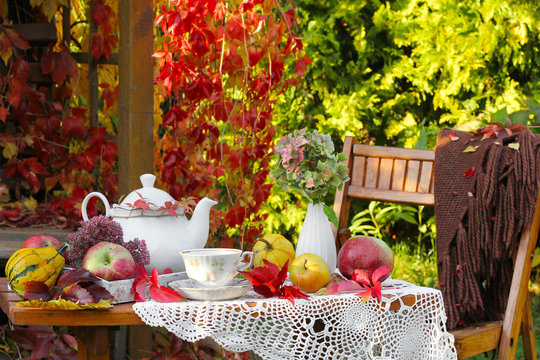 Cup of tea with autumn leaves in garden