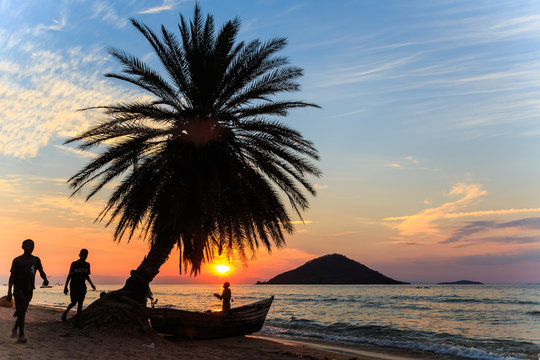 Sunset with palm tree and boat at the beach in africa