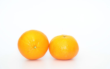 orange fruit