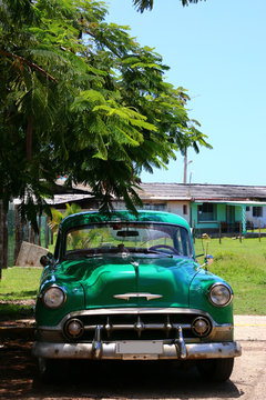 verte cubaine
