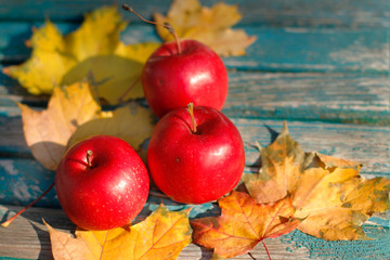 Autumn red apples and fallen leaves