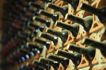 Wine cellar bottles covered with dust