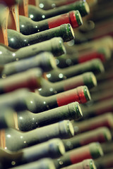 Wine cellar bottles covered with dust macro