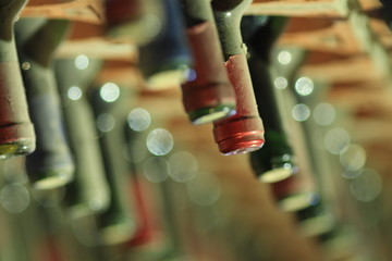 Wine cellar bottles covered with dust macro