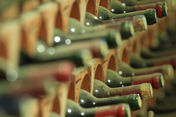 Wine cellar bottles covered with dust macro
