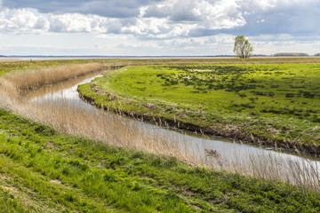 Achterwasser in Zinnowitz at island of Usedom