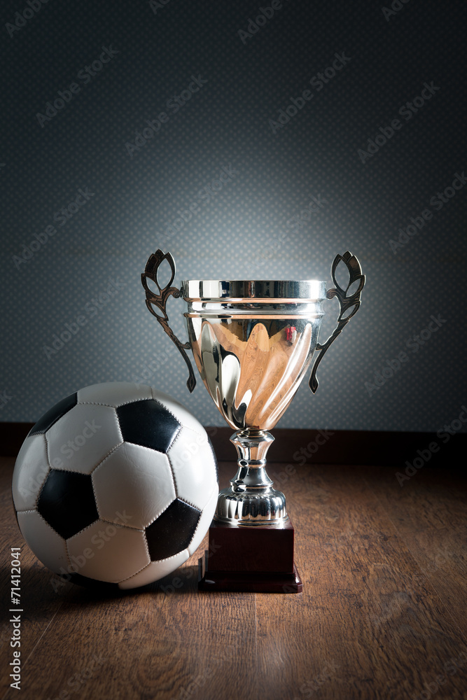 Wall mural Soccer championship cup