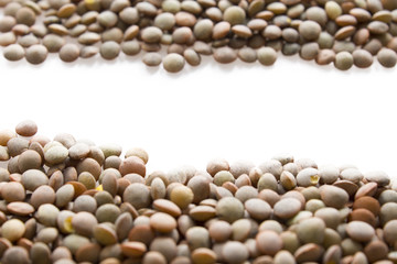 lentils isolated