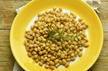 Glycine max Soybean Sojaboon Sojabohne Soya bean Соя