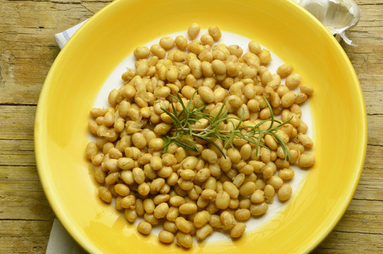 Glycine max Soybean Sojaboon Sojabohne Soya bean Соя