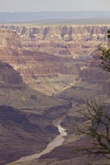 The beauty of Grand Canyon, Usa