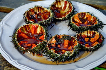 plat d'oursins frais