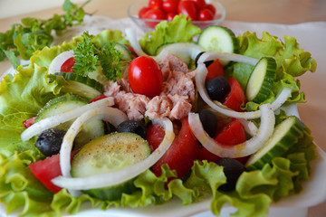Fresh Mixed Vegetable Tuna Salad
