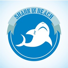shark design