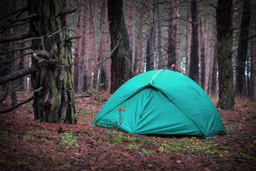 Tourist tent in forest