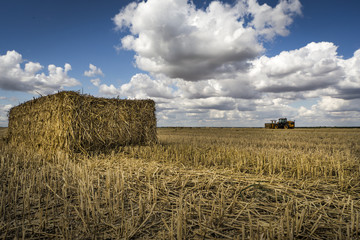 Fototapeta premium Straw bale, tractor on the horizon, fluffy cloud blue skies