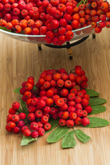 Ripe rowan on a wooden table and a vase