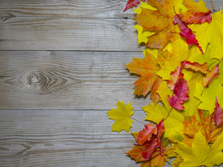 Naklejka na ściany i meble Autumnal maple leaves on old wood background