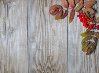 Ashberry decoration on wood background