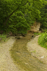 Peas Creek
