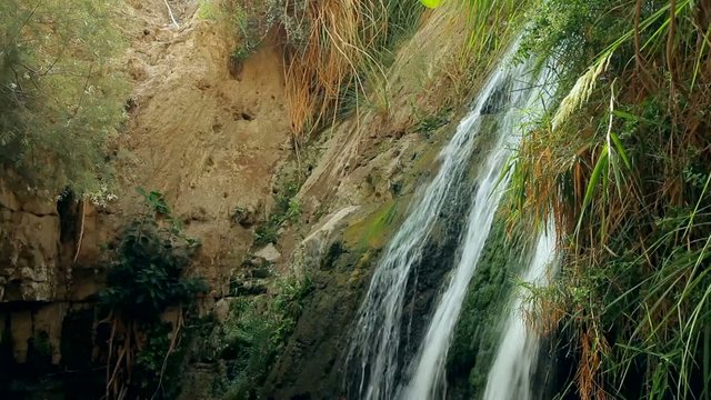 Ein Gedi Nature Reserve. israel. The Dead Sea