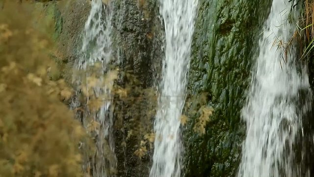 Ein Gedi Nature Reserve. israel. The Dead Sea