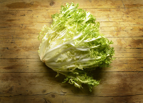 Endibia Indivia Cichorium endivia Escarole endive Sydcikoria