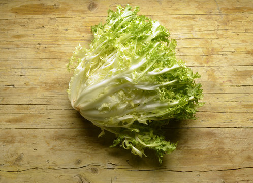 Endibia Indivia Cichorium endivia Escarole endive Эндивий