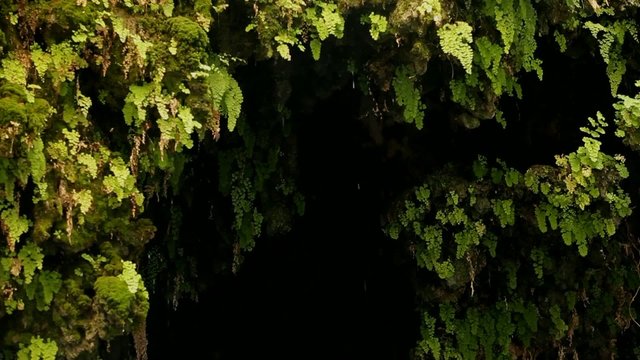 Ein Gedi Nature Reserve. israel. The Dead Sea