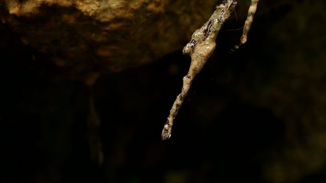 Ein Gedi Nature Reserve. israel. The Dead Sea