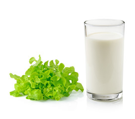 Obraz na płótnie Canvas Glass of milk with green lettuce isolated on white background