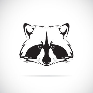 Vector of a raccoon face on white background. Animal. 