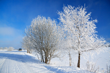 winter landscape with the road the forest and the blue sky