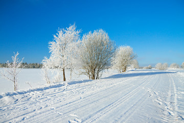 winter  rural landscape with the road the forest and the blue sk