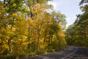 Turning the empty road