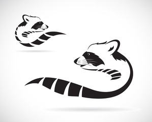 Vector of a raccoon on white background. Animal. Easy editable layered vector illustration. © yod67