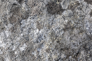 Old Rock Background