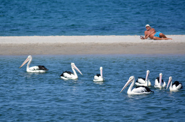 Gold Coast Queensland Australia