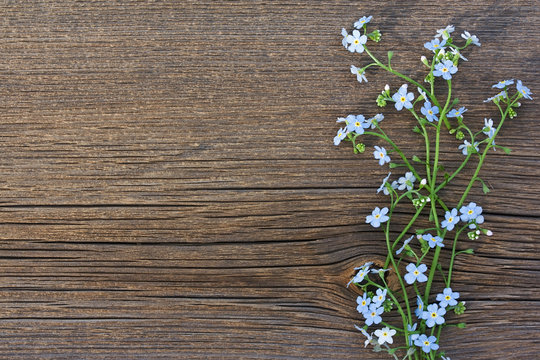 Blue Wild Flowers On Old Wooden Background