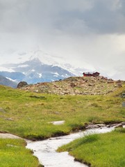 Fototapeta na wymiar Stream in fresh green Alps meadow, snowy peaks of Alps 