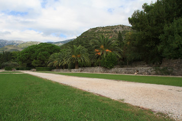 Obraz premium A beautiful garden on the Budva, Montenegro