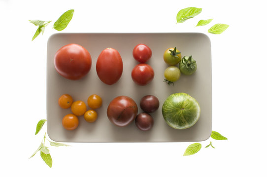 Verschiedene alte Tomatensorten