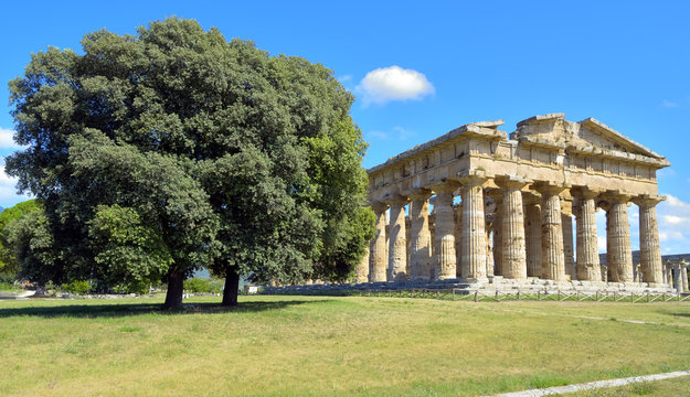 Stately oak trees juxtaposed imposing temple of Neptune, Paestum