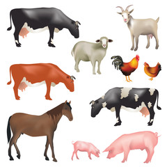 Farm animals