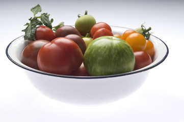 Grüne Zebratomate und andere alte Tomatensorten