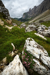 Italian Alps, Dolomites in Summer